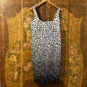 Calvin Klein Black and White Womens Dress Size 10